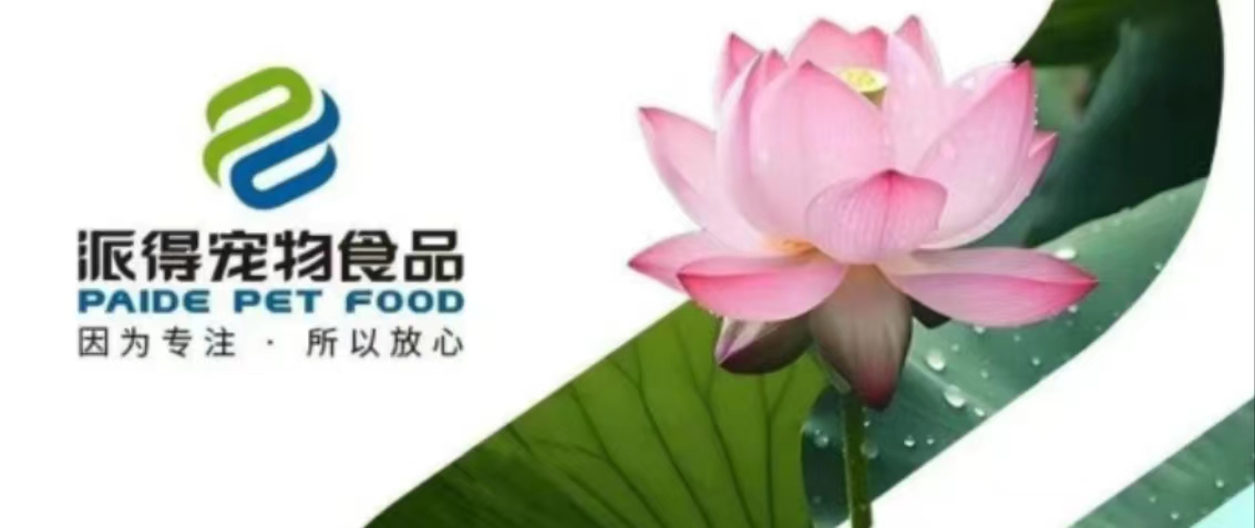 派得寵物
