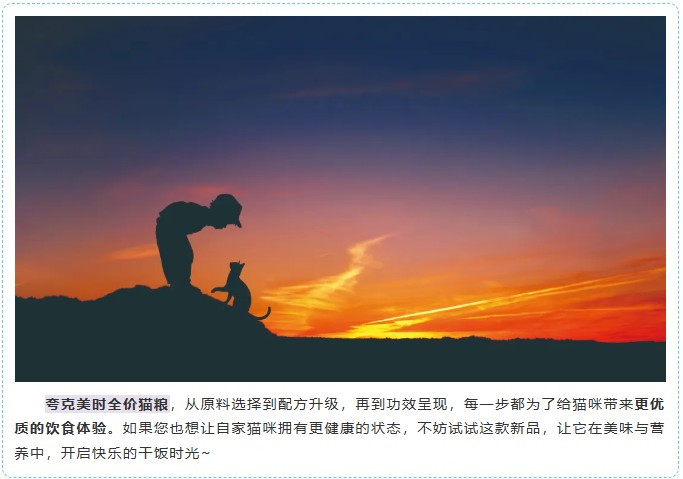 派得寵物