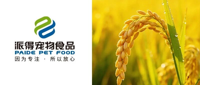 芒種丨風(fēng)吹麥成浪 青梅煮酒時(shí)